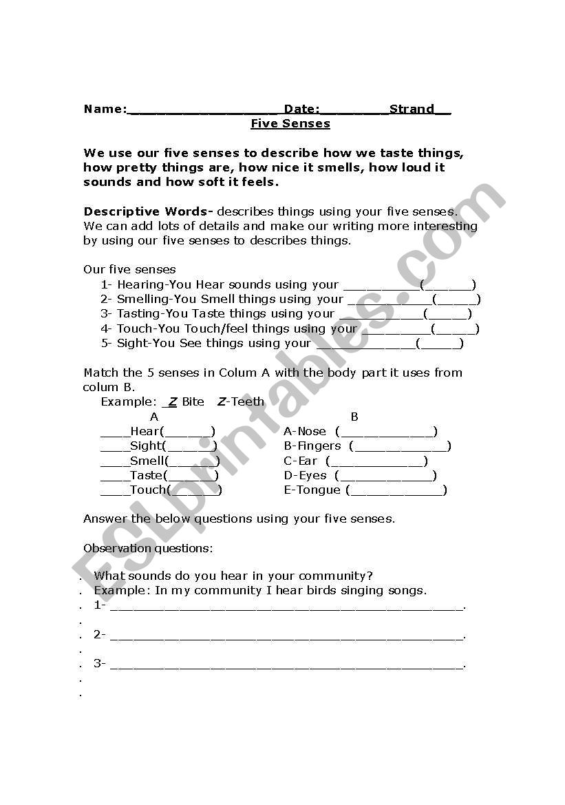 Five senses  worksheet