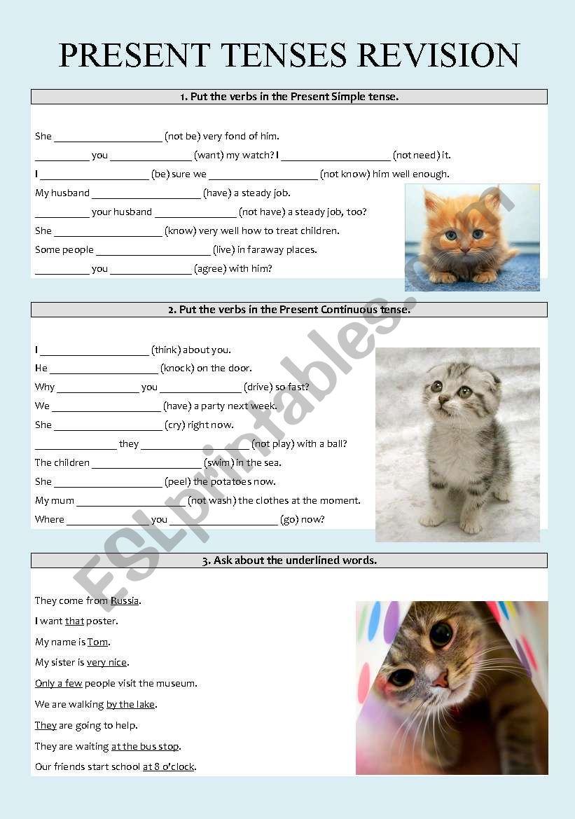 Present tenses revision worksheet