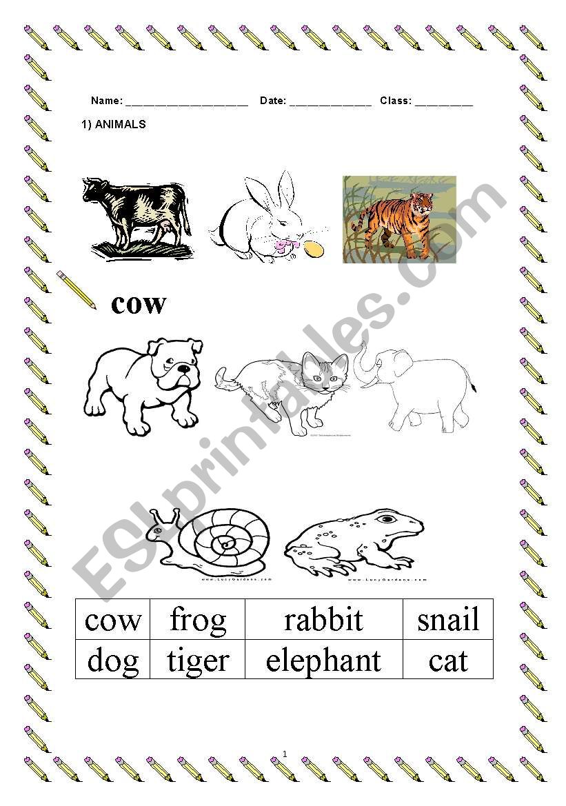 The animals worksheet