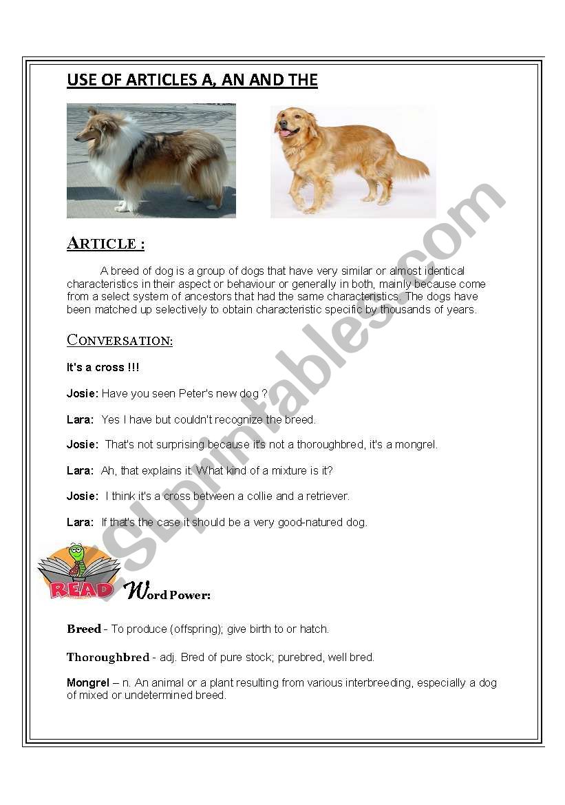 article worksheet