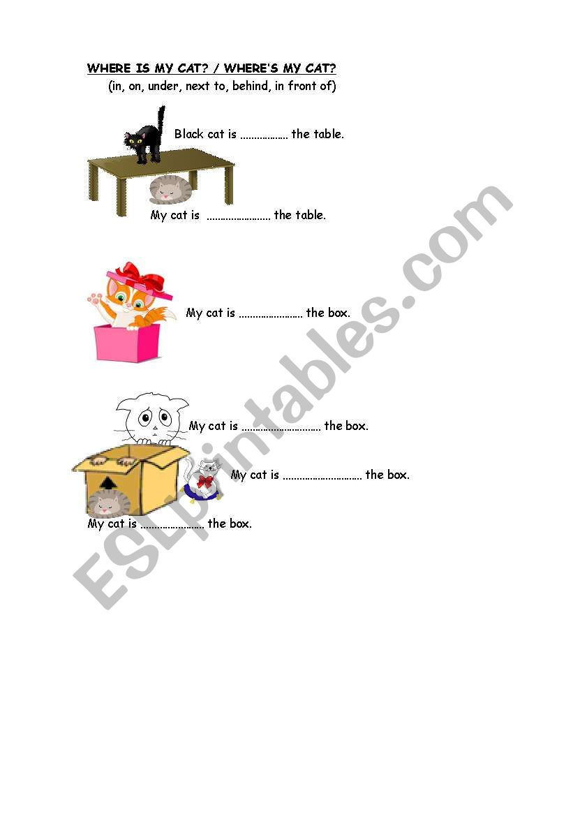 prepositions  worksheet