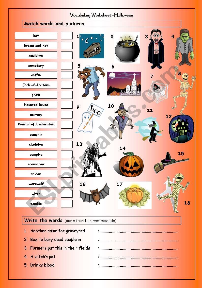 Vocabulary Matching Worksheet: Halloween