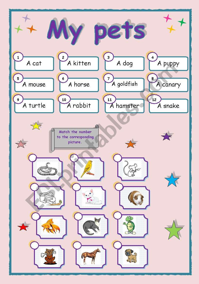 My pets worksheet