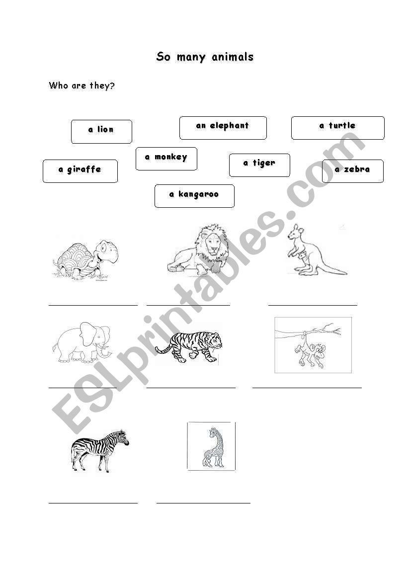 animals in the zoo worksheet