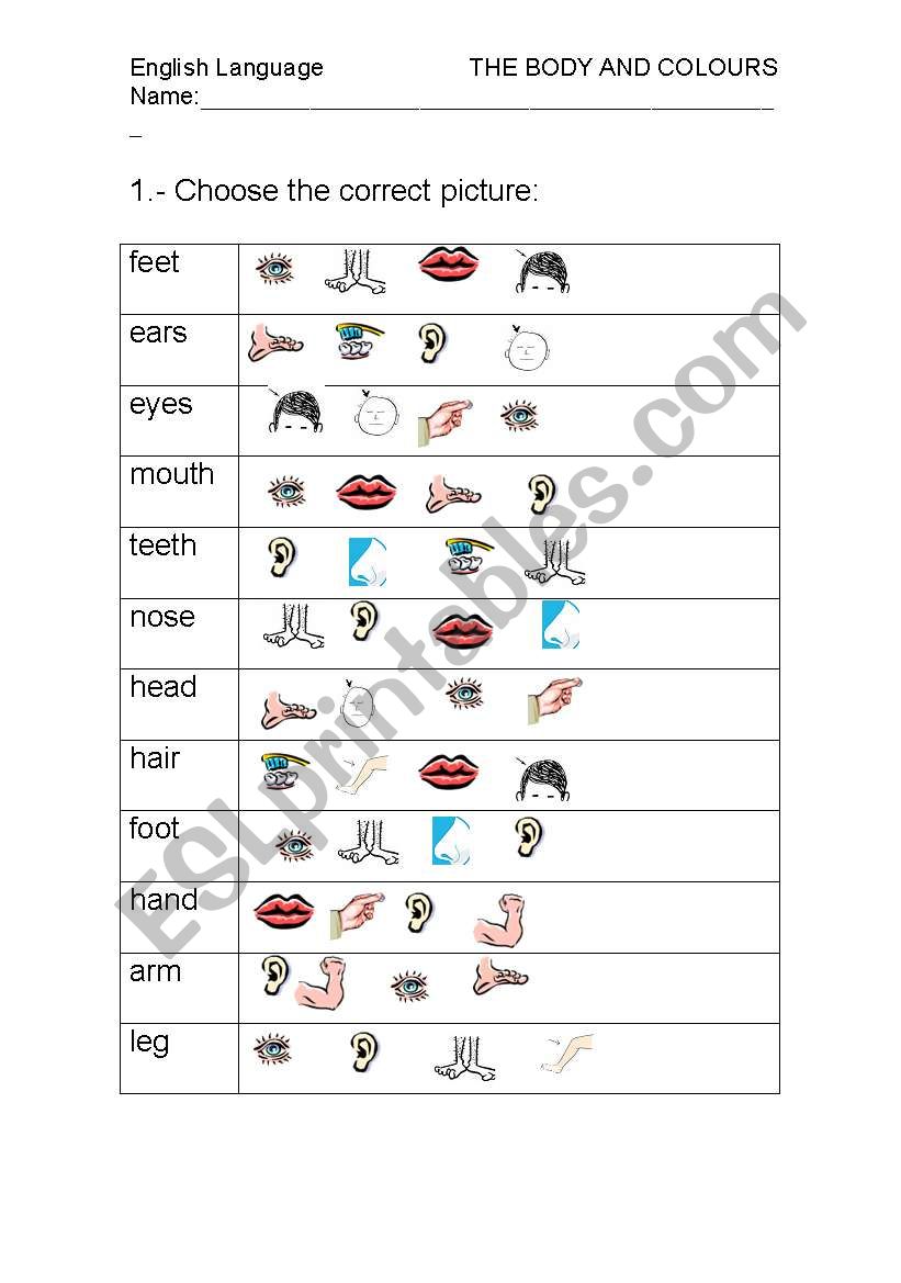 Body parts worksheet