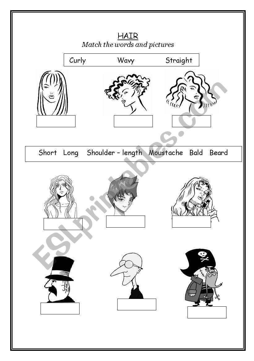 Hair description vocabulary worksheet
