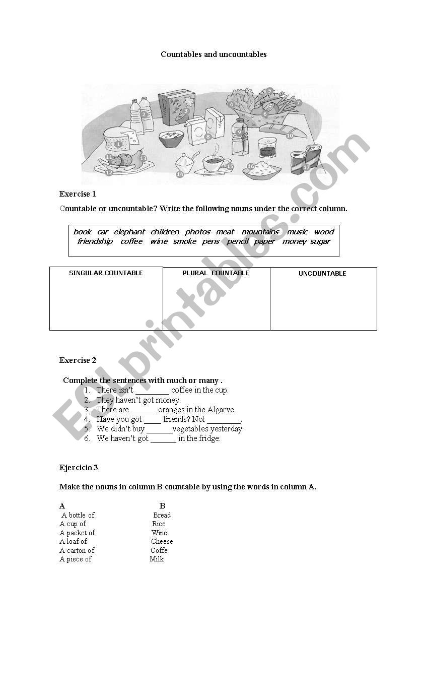 Countables & Uncountables worksheet