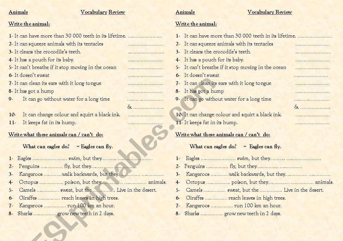 Animals Vocabulary review worksheet