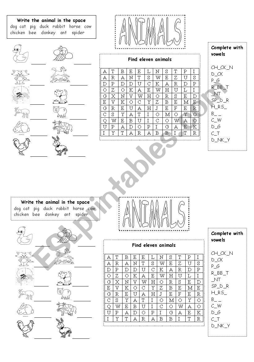 Animals worksheet