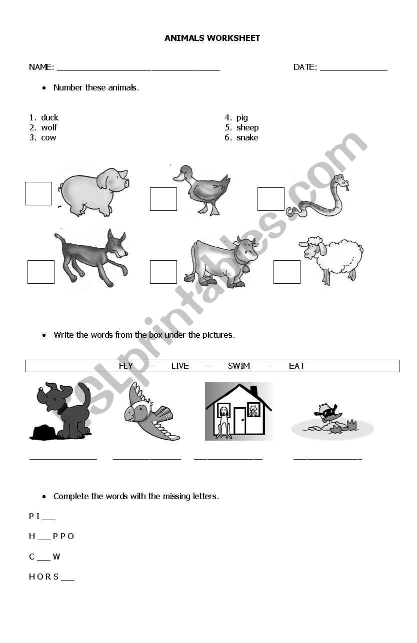 Animals worksheet worksheet