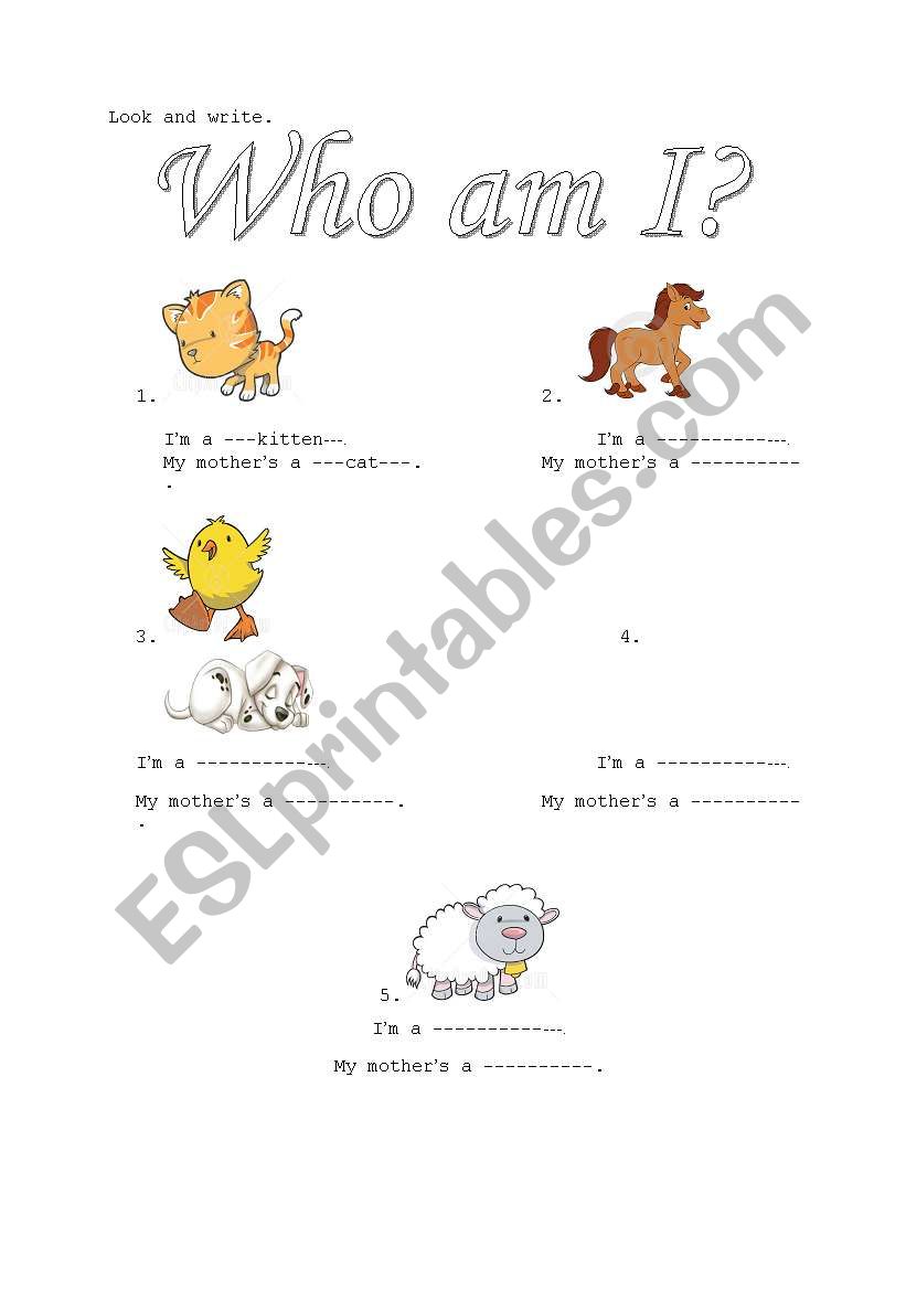 Baby animals worksheet