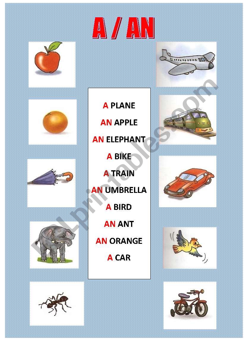 A - AN worksheet