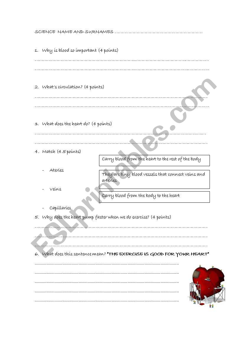 Science. The blood circulation