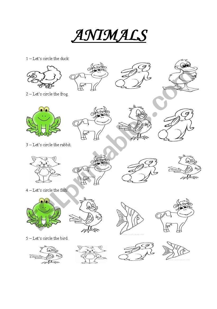 animals worksheet