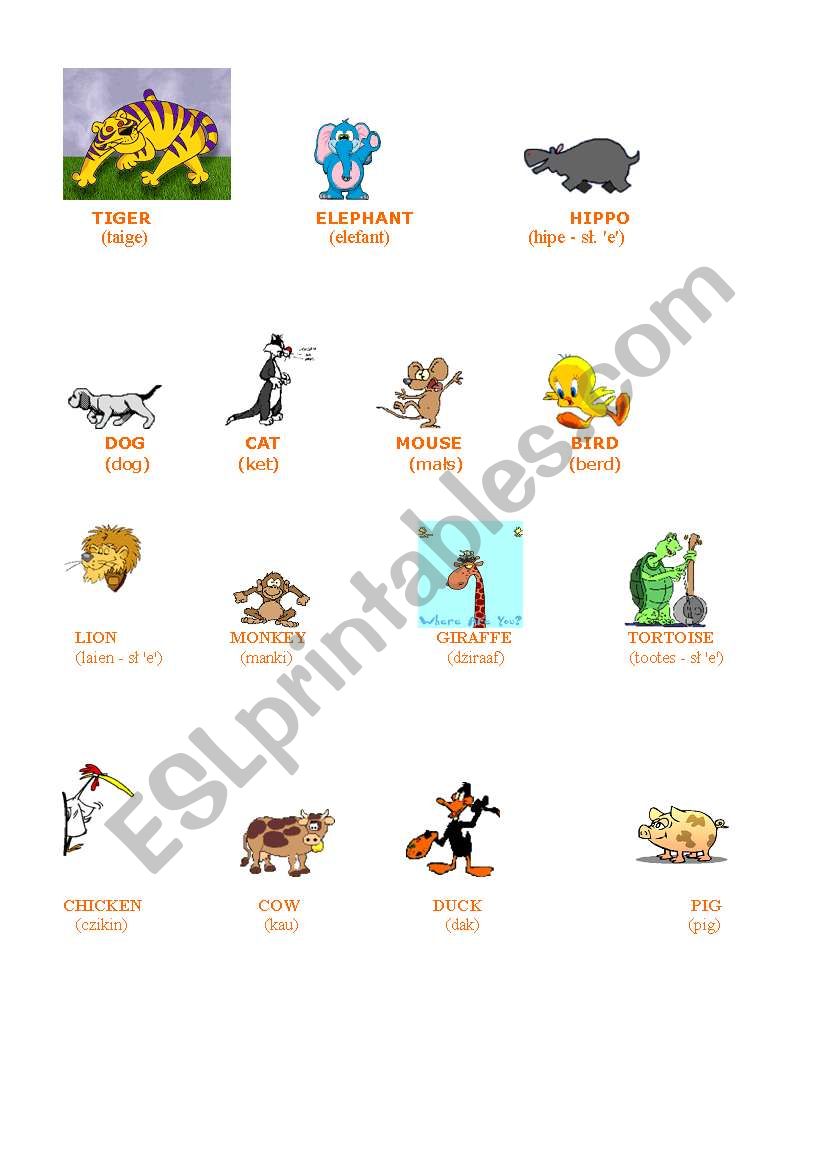 animals worksheet