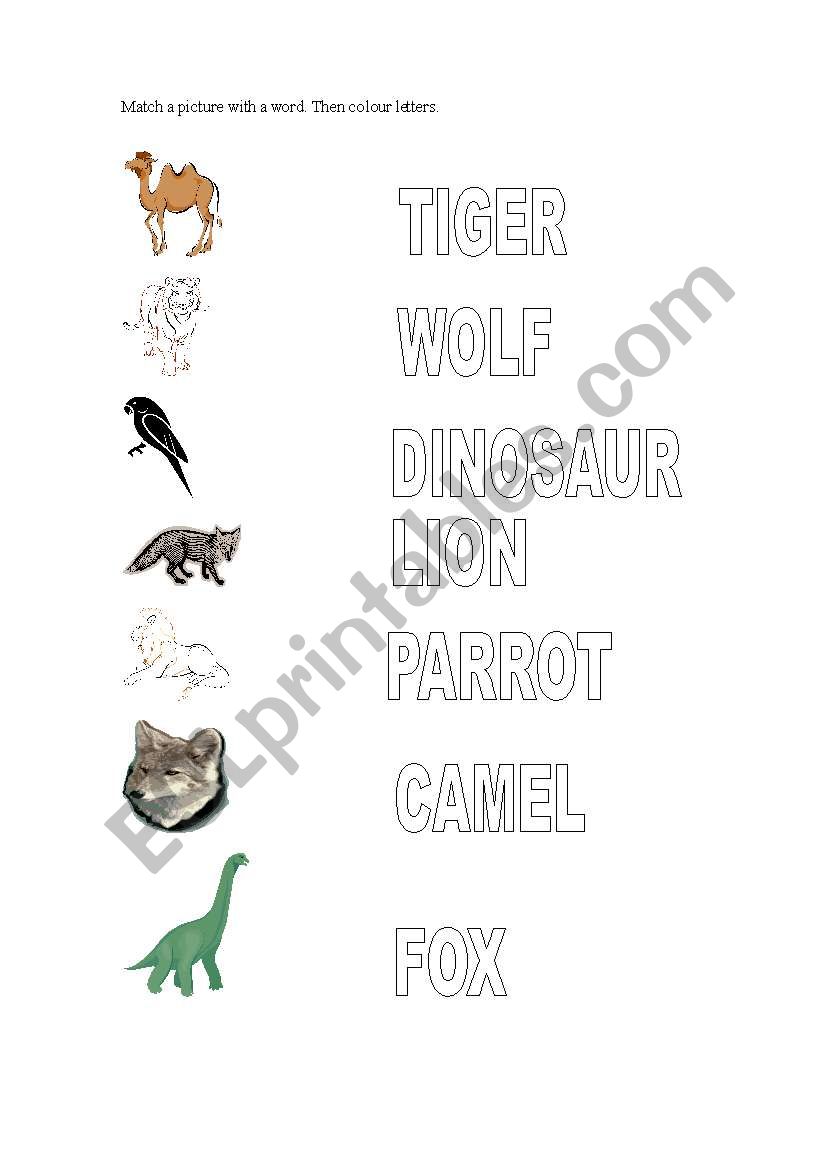 animals worksheet