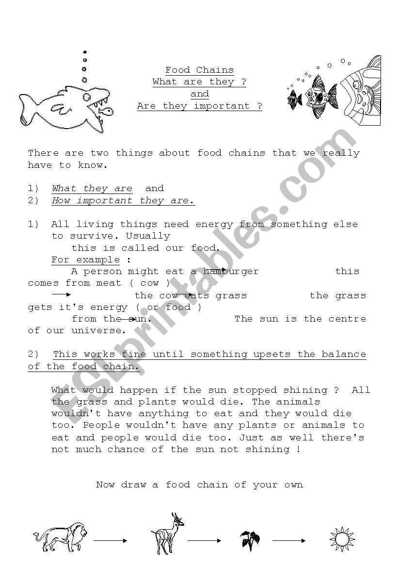 food chains worksheet