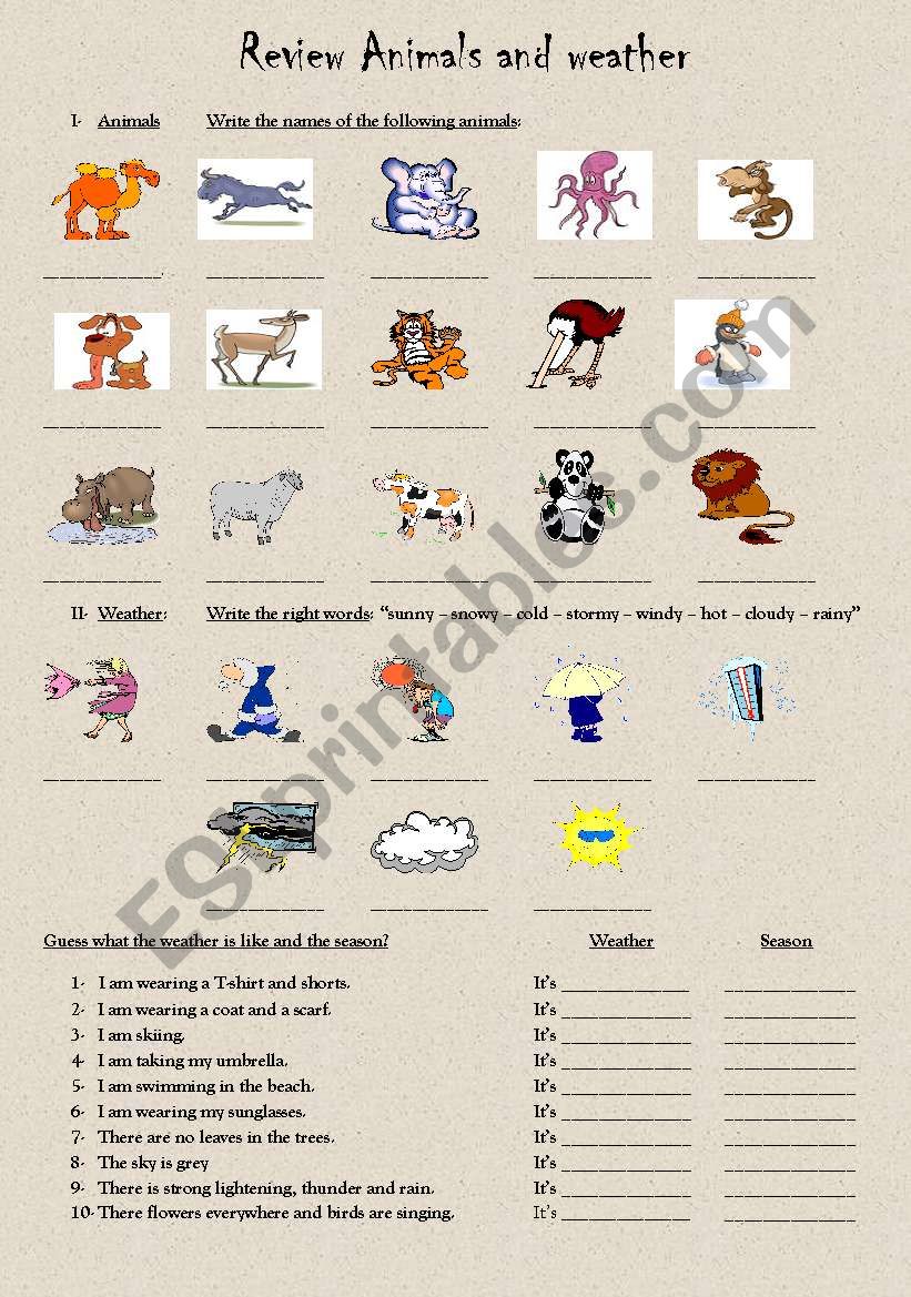 Animals & weather review worksheet