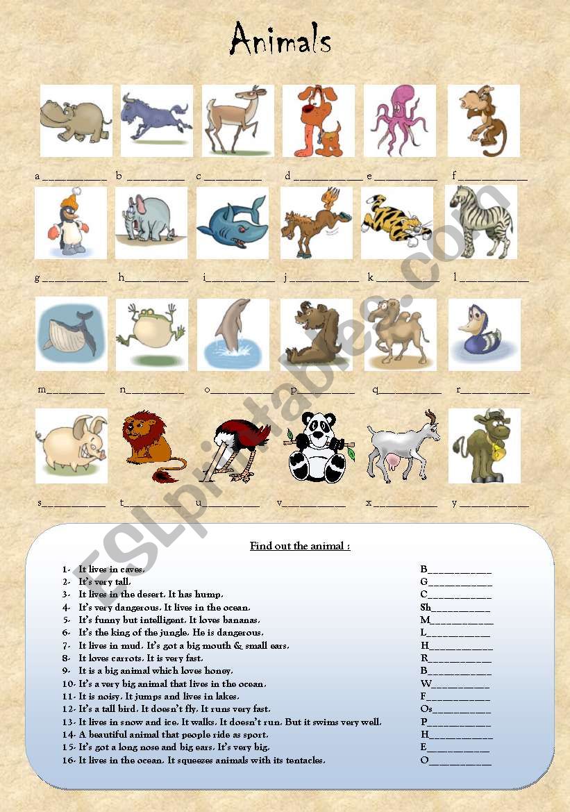 Animals! worksheet