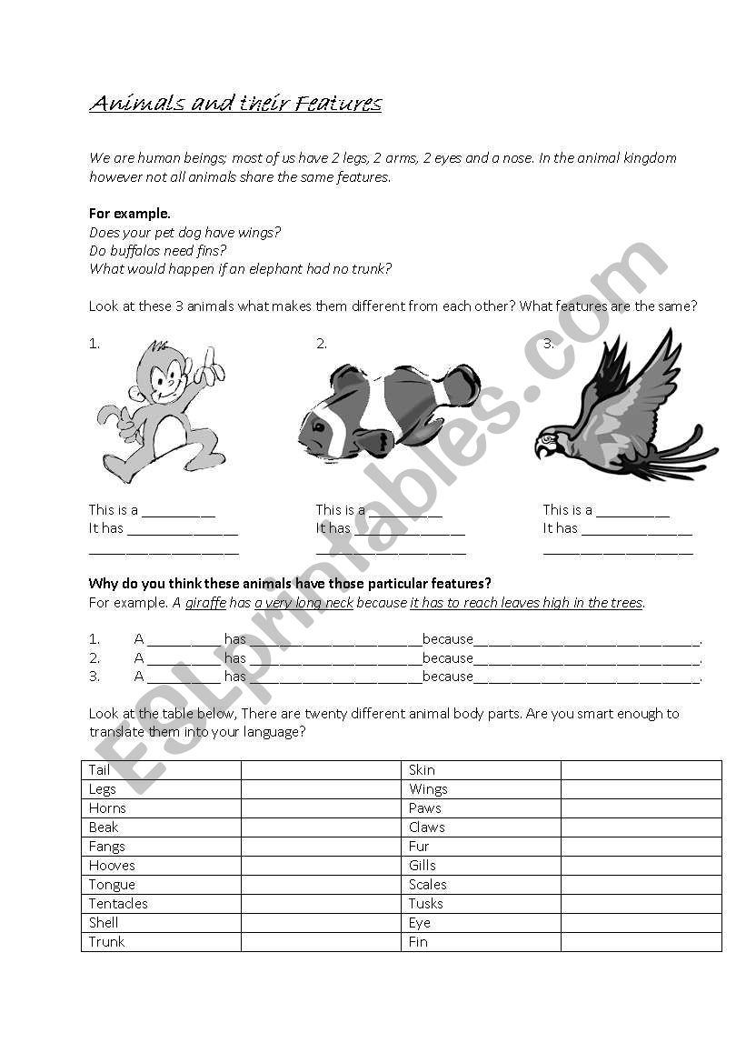 Animals and their attributes worksheet