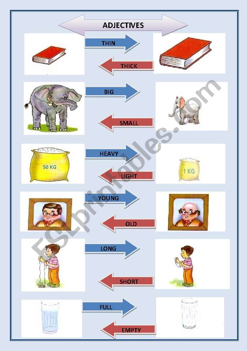 ADJECTIVES worksheet