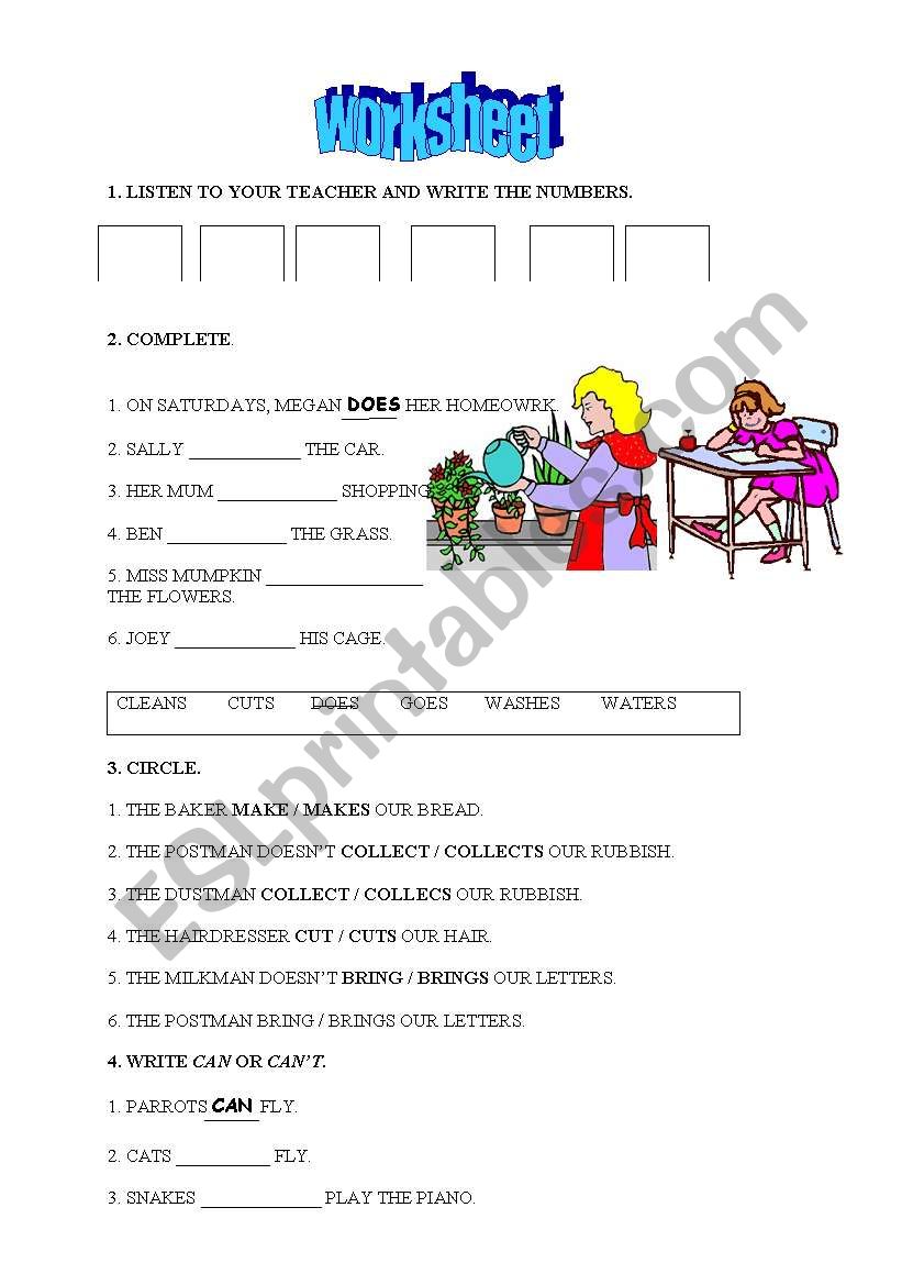 present simple worksheet