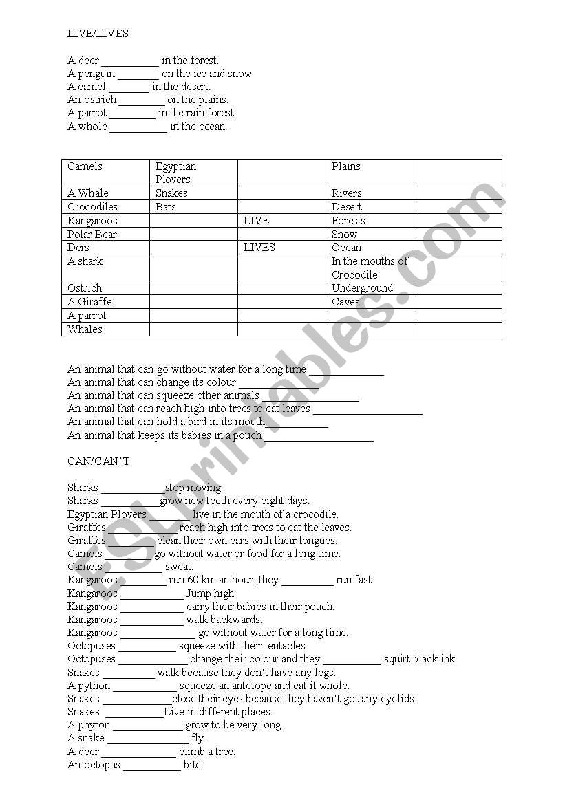 simple present worksheet