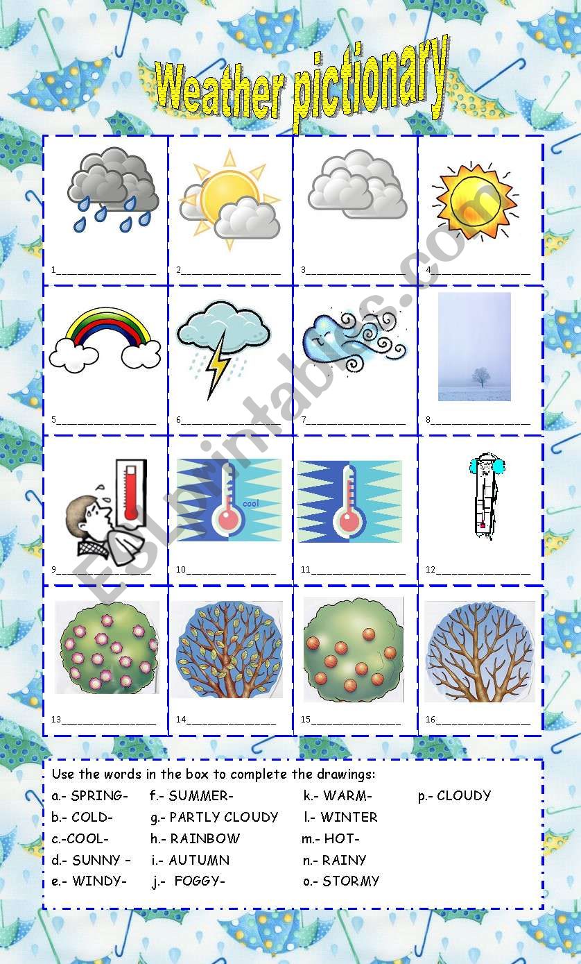 Weather pictionary worksheet