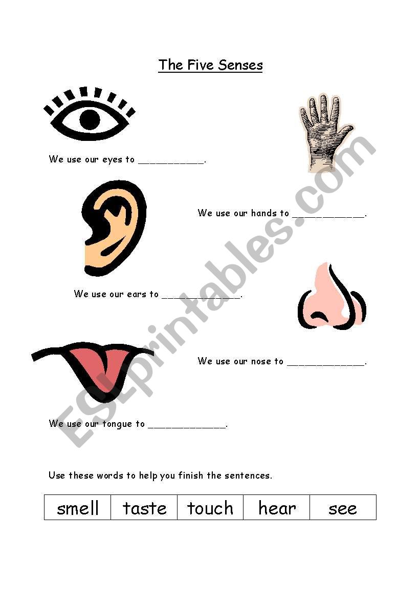 five senses worksheet