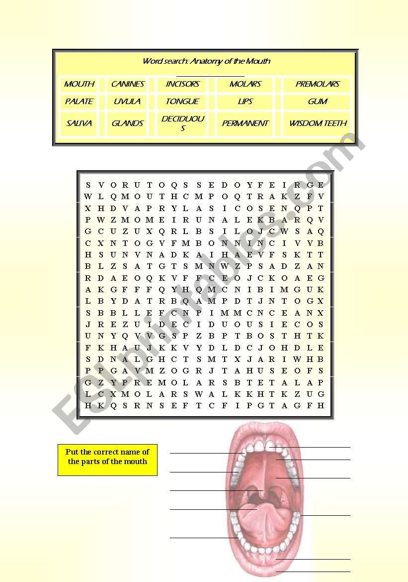 Parts of the Mouth worksheet