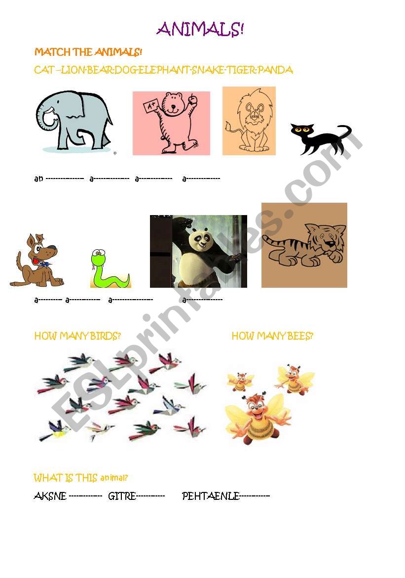 animals worksheet