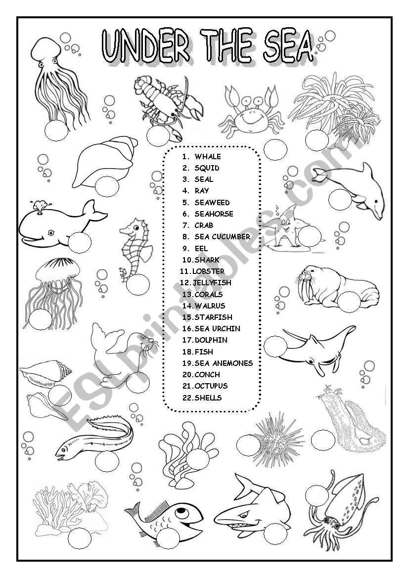 under the sea worksheet