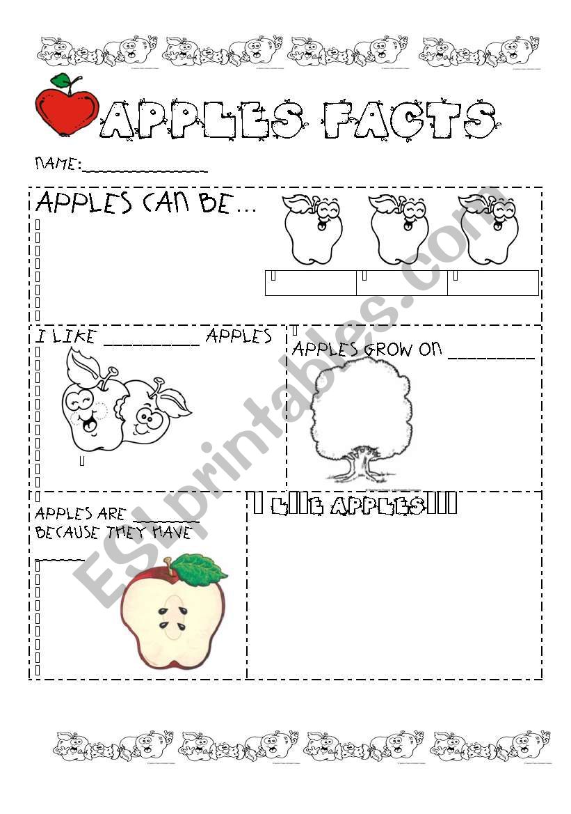 APPLES FACTS  worksheet