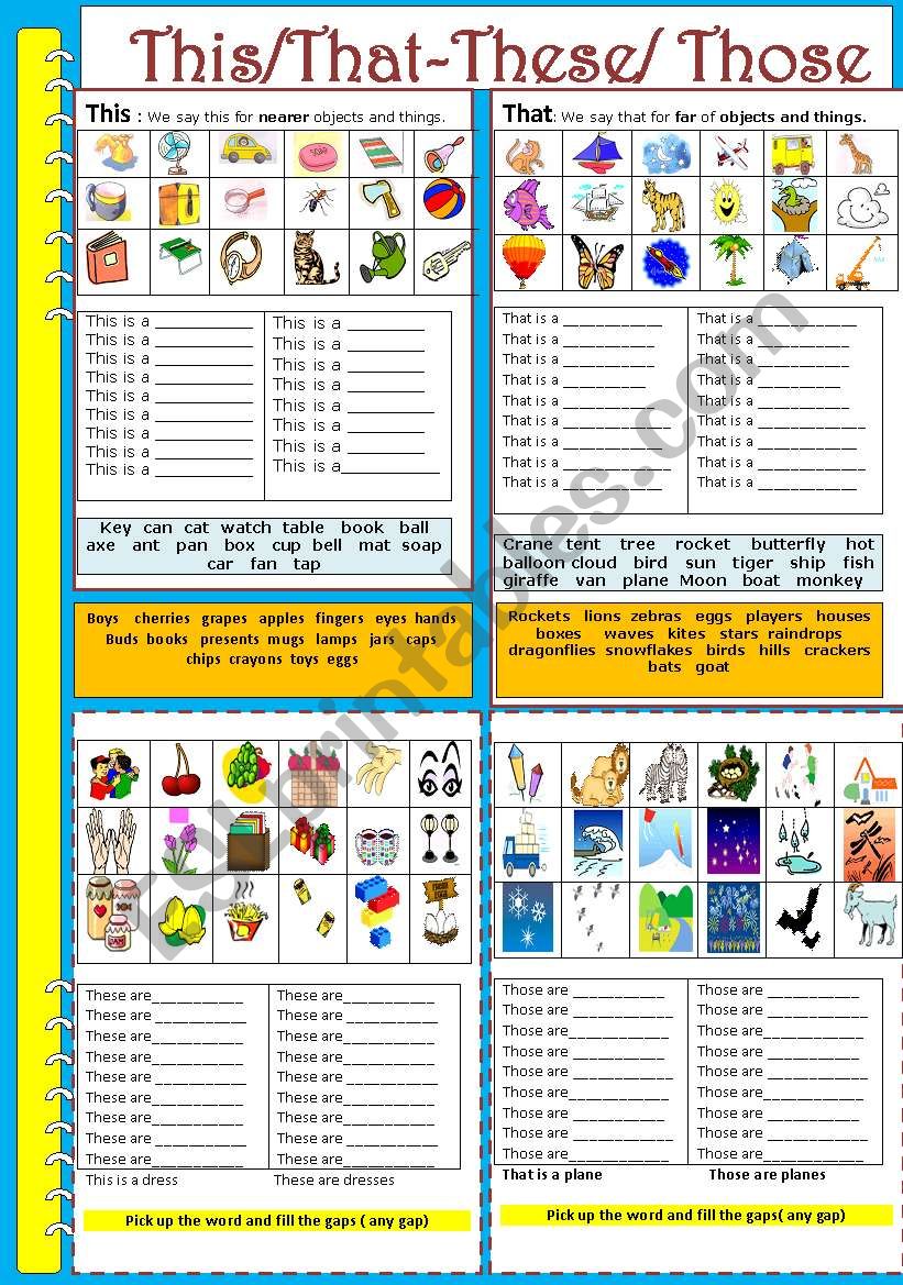 Demonstratives:This/ That - These/ Those-part1