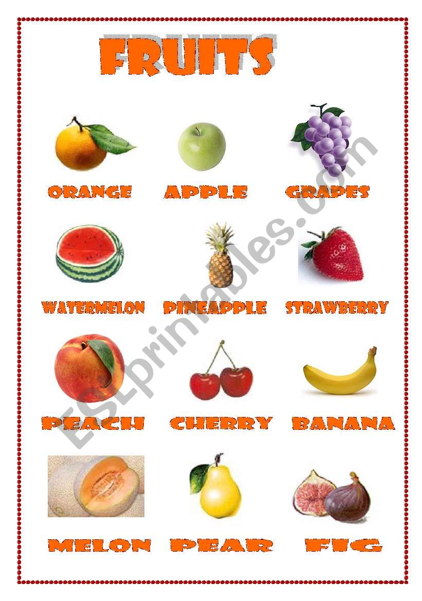 fruits (vocabulary) worksheet