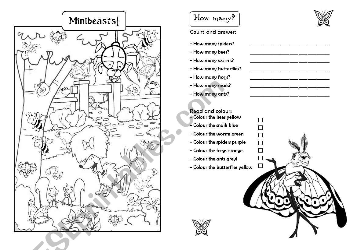 Coloring,  counting and activities - minibeasts