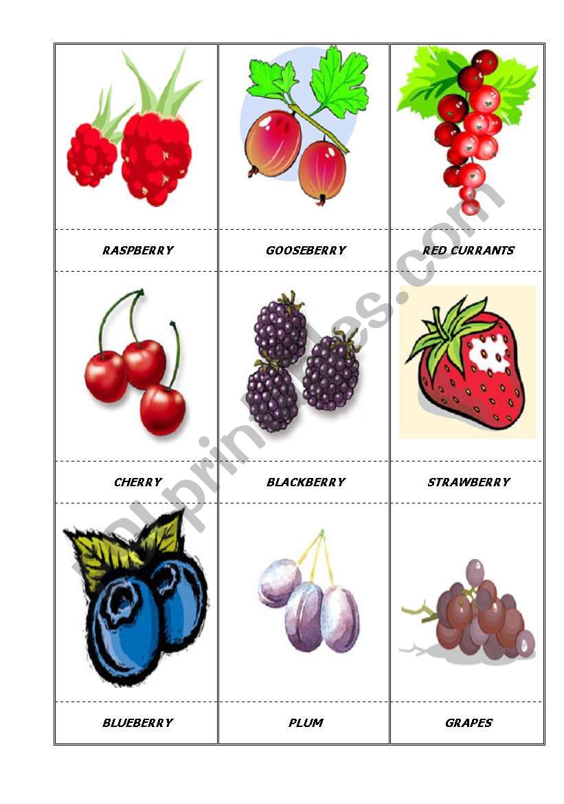 fruits worksheet