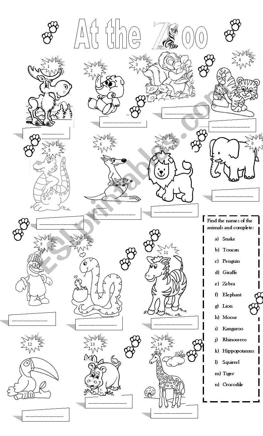 At the zoo worksheet