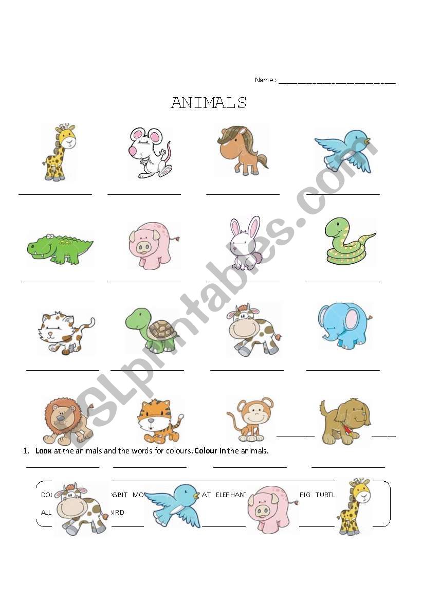 Animals worksheet