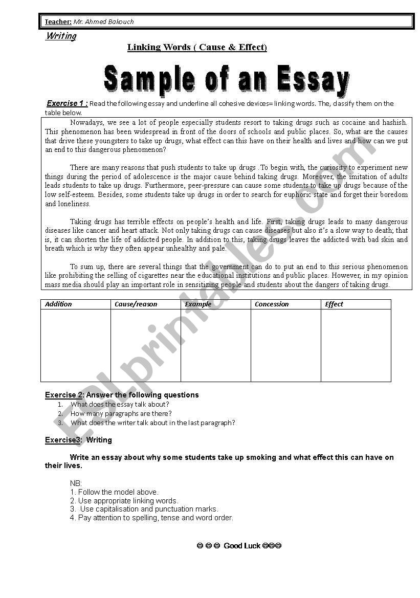 sample of an Essay worksheet