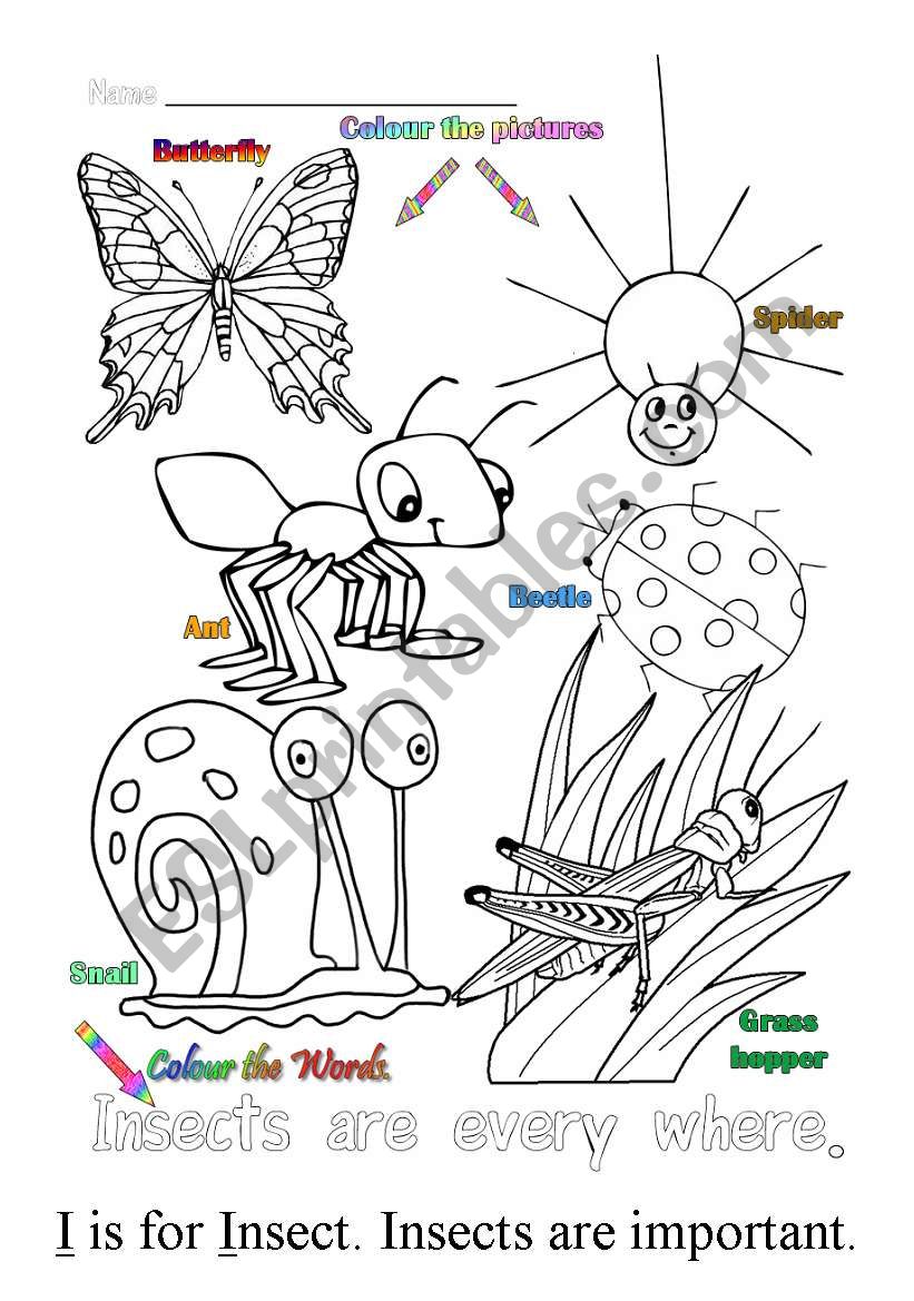 I is for insect worksheet