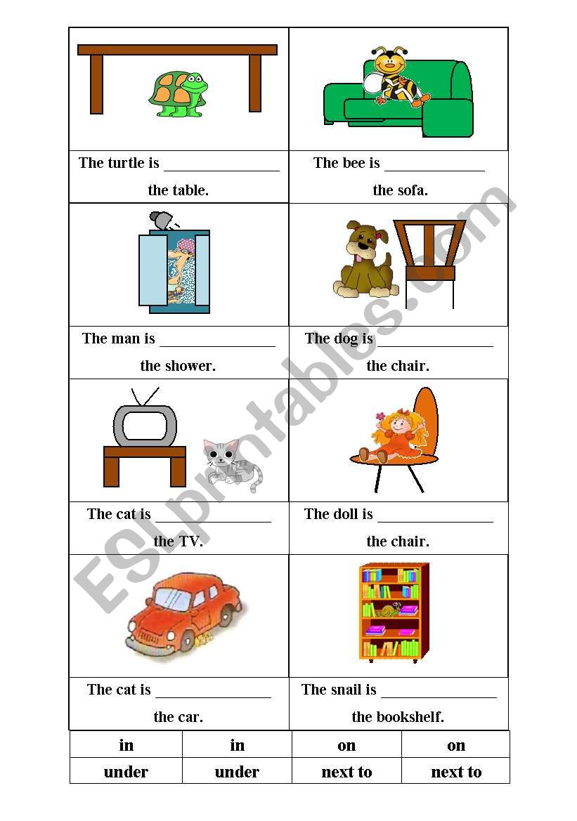 Prepositions -  flashcards worksheet