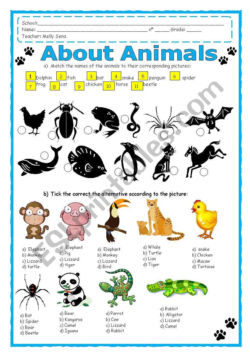 About Animals worksheet
