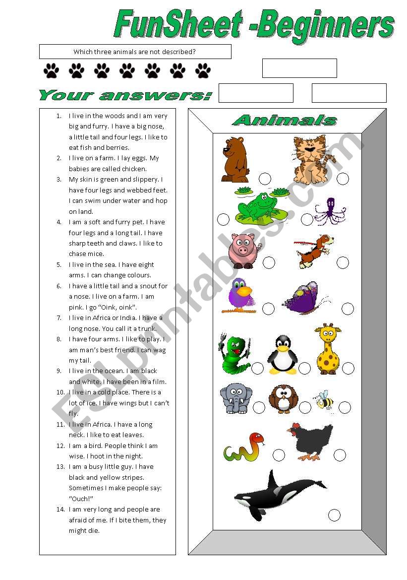 FunSheet Beginners -Animals worksheet