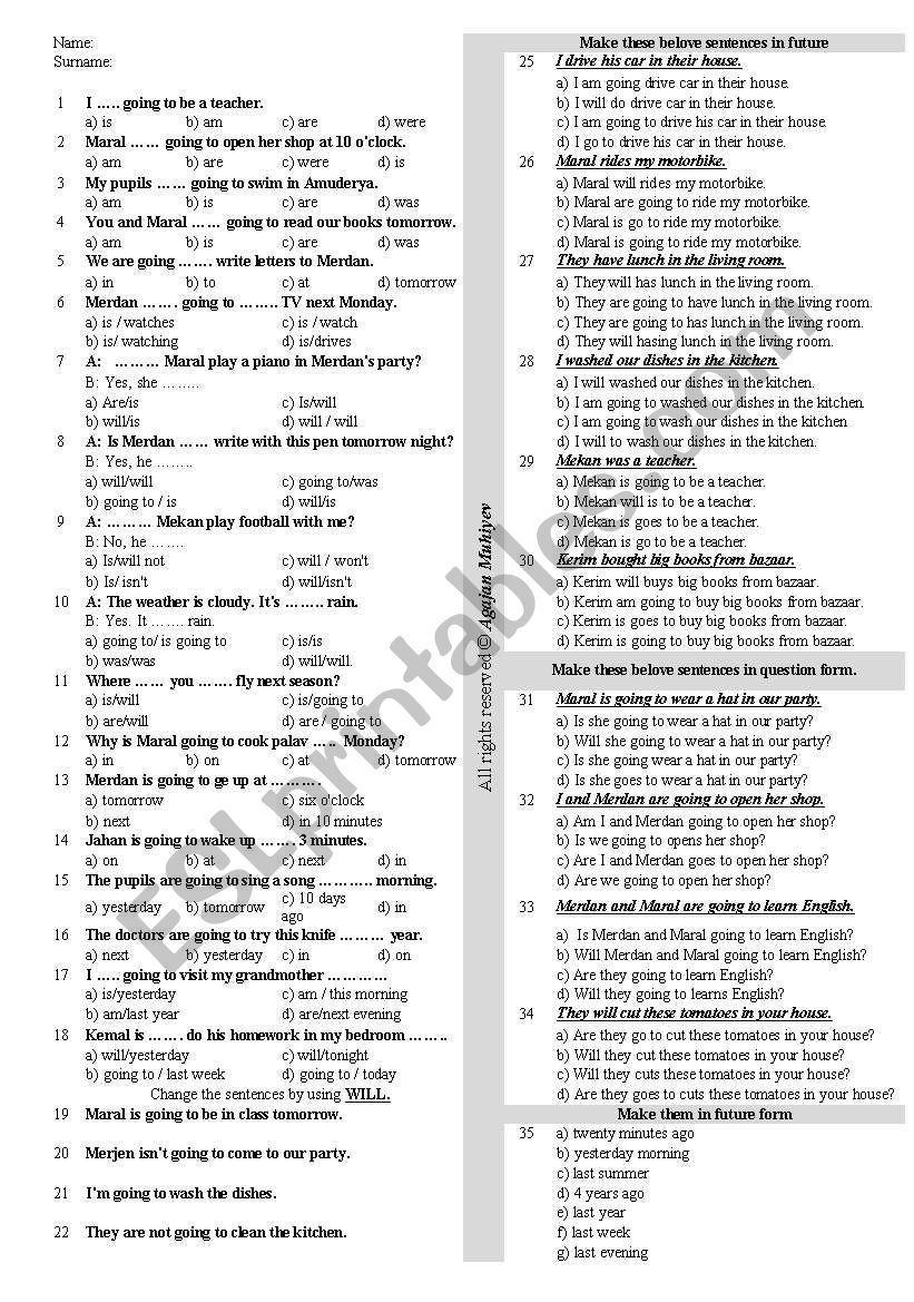 Future Tense worksheet