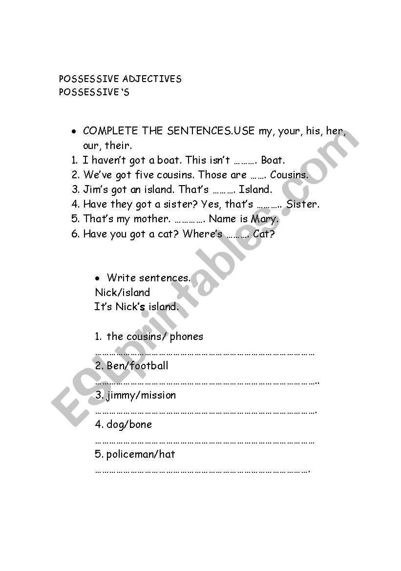 POSSESSIVE ADJECTIVES/POSSESSIVE S