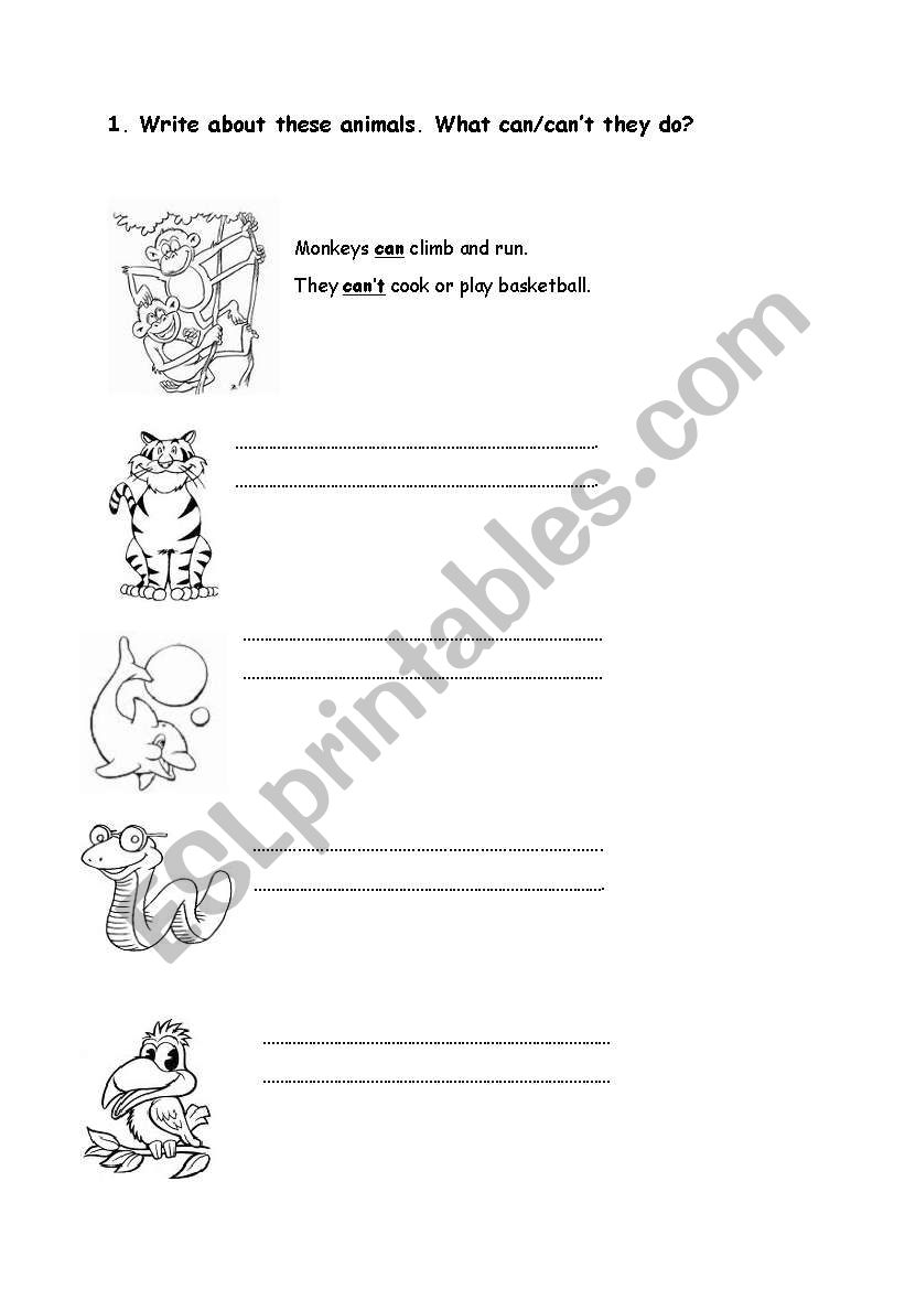 can/cant worksheet