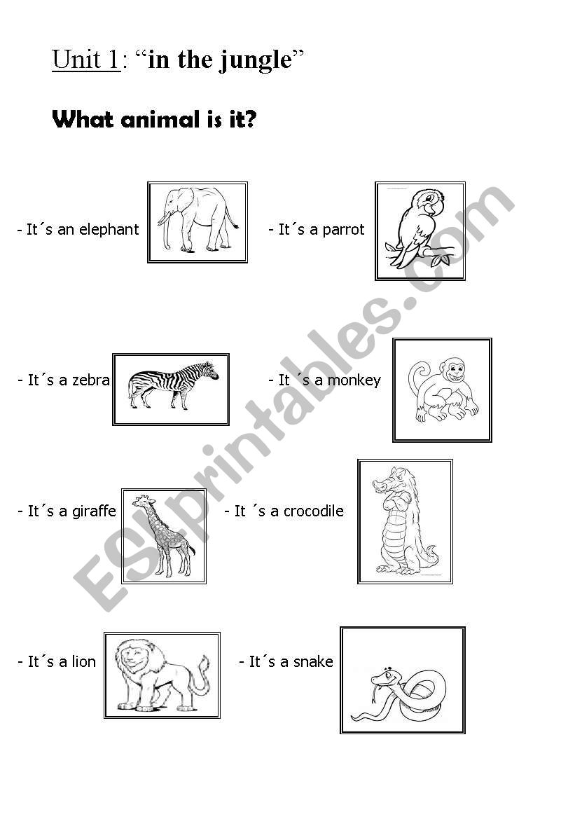 animlas worksheet