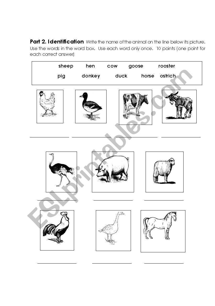 Farm Animal Identification  worksheet