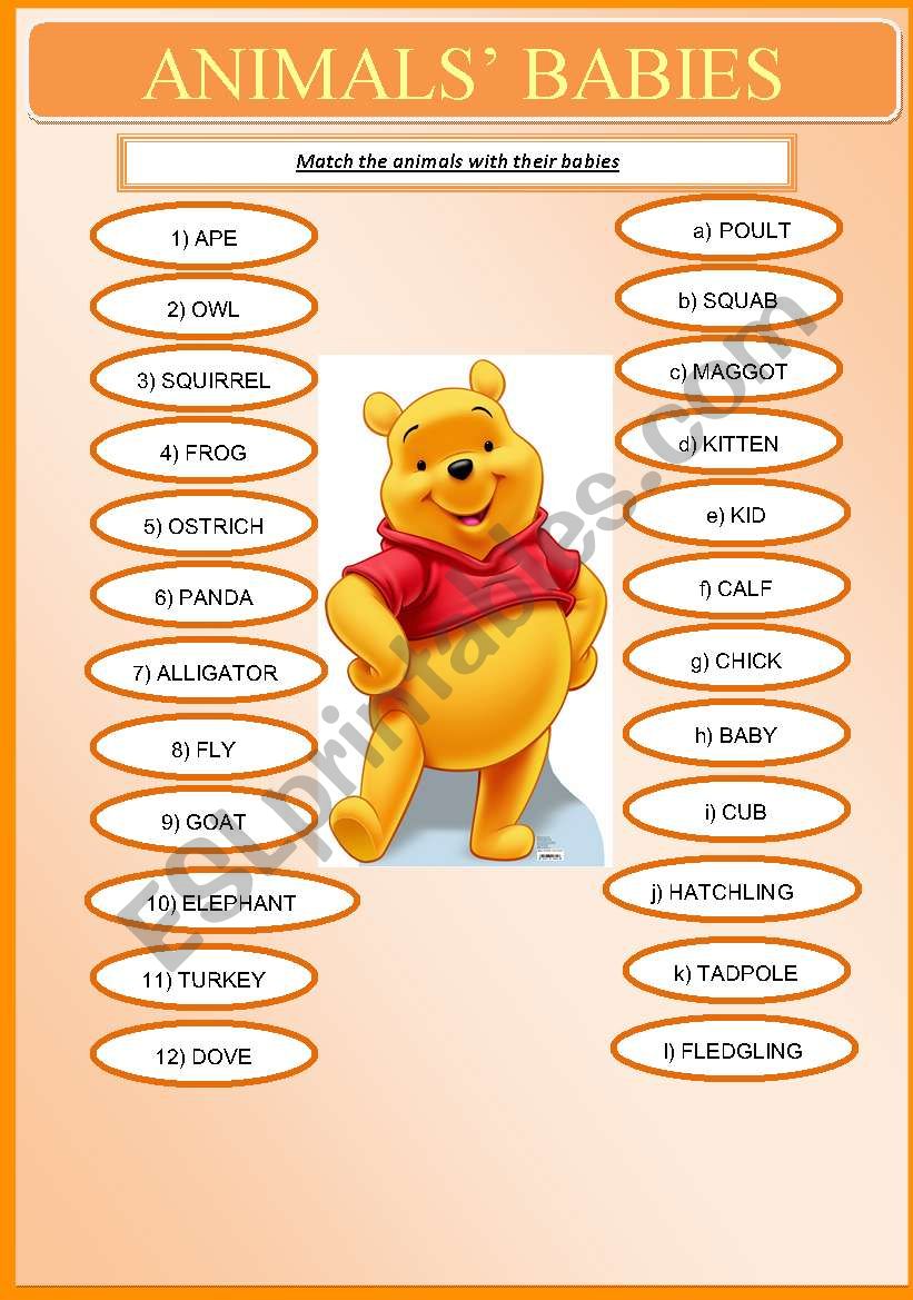 Animals Babies worksheet